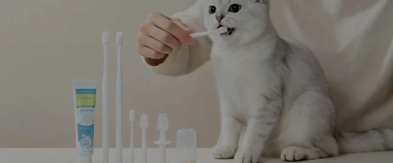 Cat Toothbrush