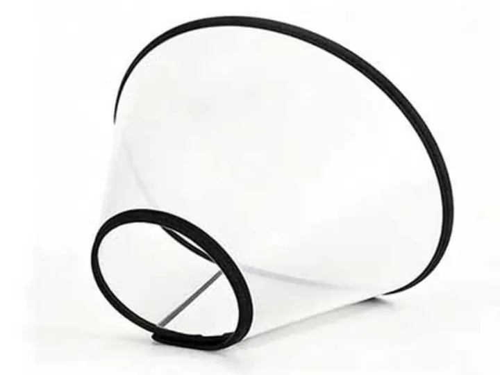 Dog Cones — Dog Cones & Recovery Collars Categories