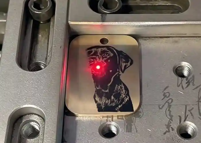 Dog Tags
